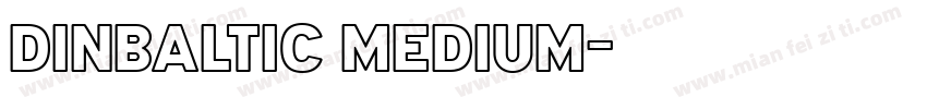 DINBaltic Medium字体转换